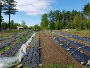 Bardo Farm Garden