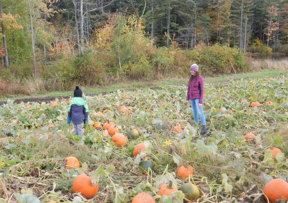 Deni and Family Feel at Home in New Hampshire